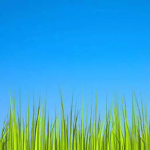 Free play online Grass LWP [Revamped+PRO]  APK